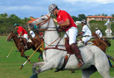 Dominican Republic-Santo Domingo-Caribbean Multisport Resort - Casa de Campo
